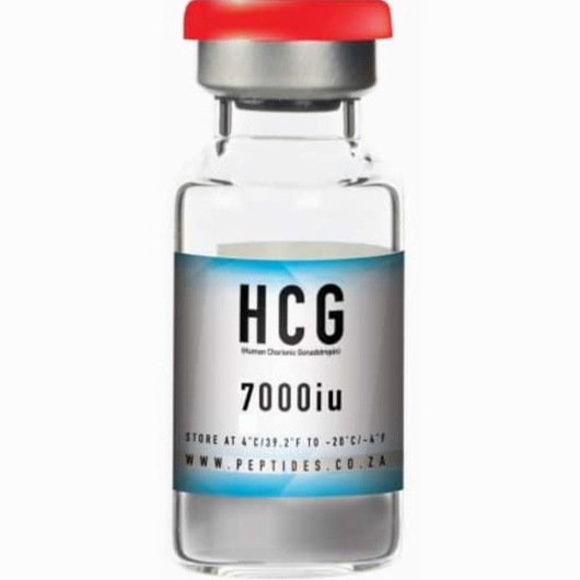 hcg